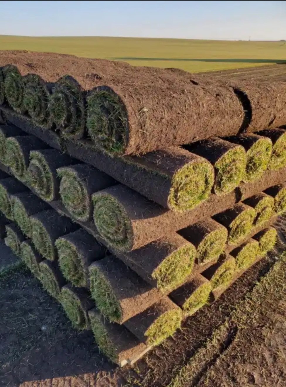 Emads yards maintenance services