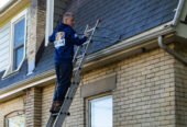 Bear Property Gutter Cleaning