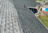 Bright Green Roof Preservation