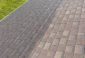 Bright Green Roof Preservation