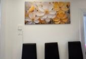 DNA Painting: Interior Painters