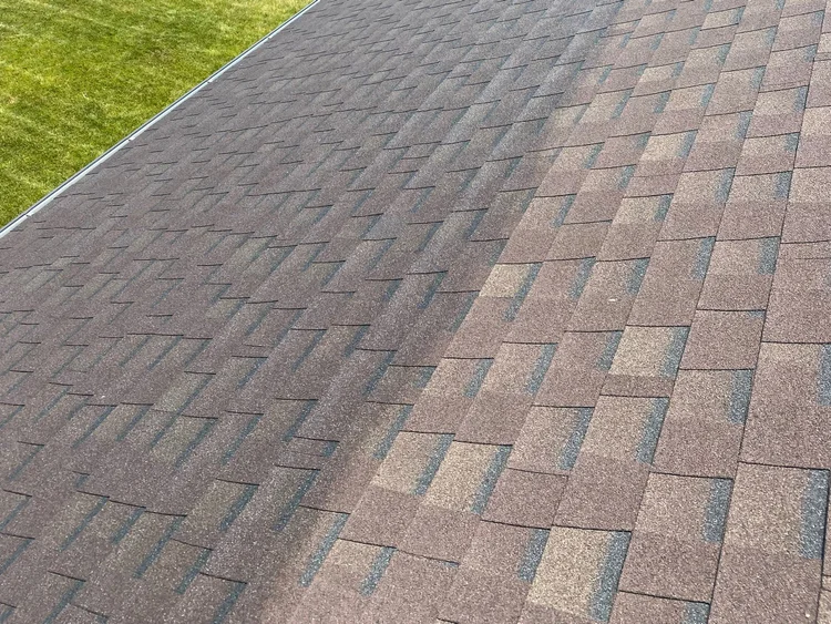 Bright Green Roof Preservation