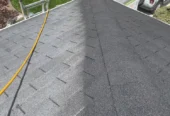 Bright Green Roof Preservation