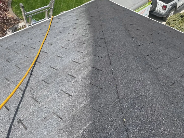 Bright Green Roof Preservation