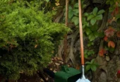 Lavish Landscape & Patio Builds