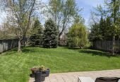 Landscaper of London Lawn Care