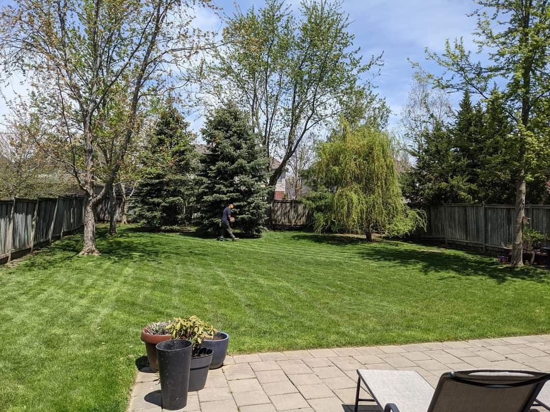 Landscaper of London Lawn Care