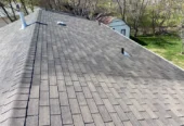 Bright Green Roof Preservation