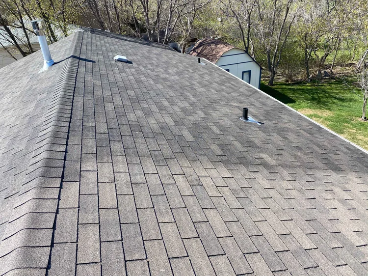 Bright Green Roof Preservation