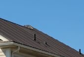 Rob’s Shingle & Steel Roofing