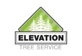 Your go-to expert for tree care needs