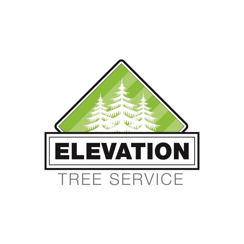 Your go-to expert for tree care needs