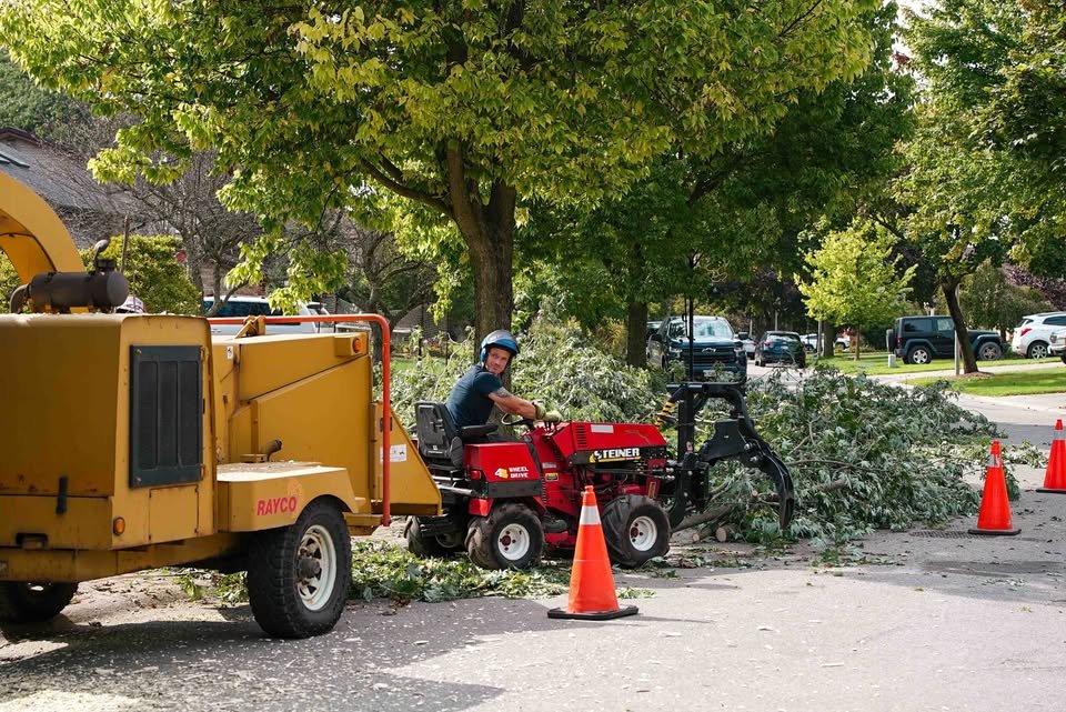 Sabertooth Tree Arborists