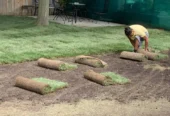 The Green Dept Lawn & Yard Care