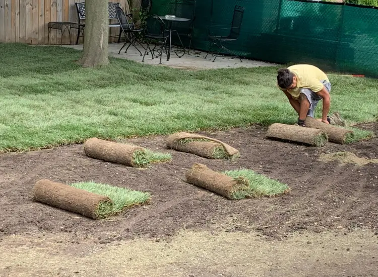 The Green Dept Lawn & Yard Care