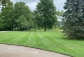 The Green Dept Lawn & Yard Care
