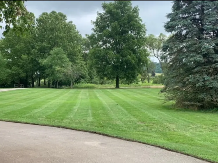 The Green Dept Lawn & Yard Care