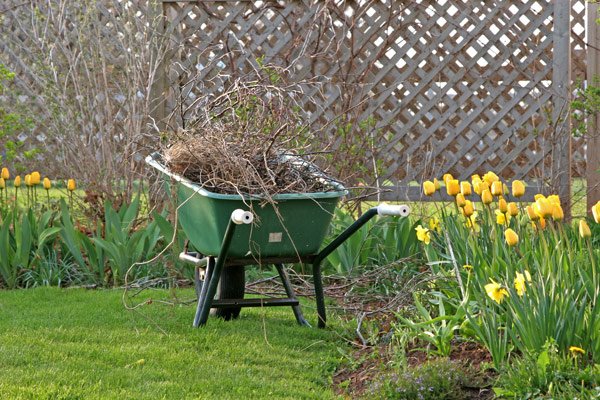 Landscaper of London Lawn Care