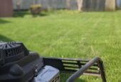 Landscaper of London Lawn Care