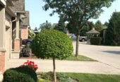 GHL Green Hands Yard Maintenance