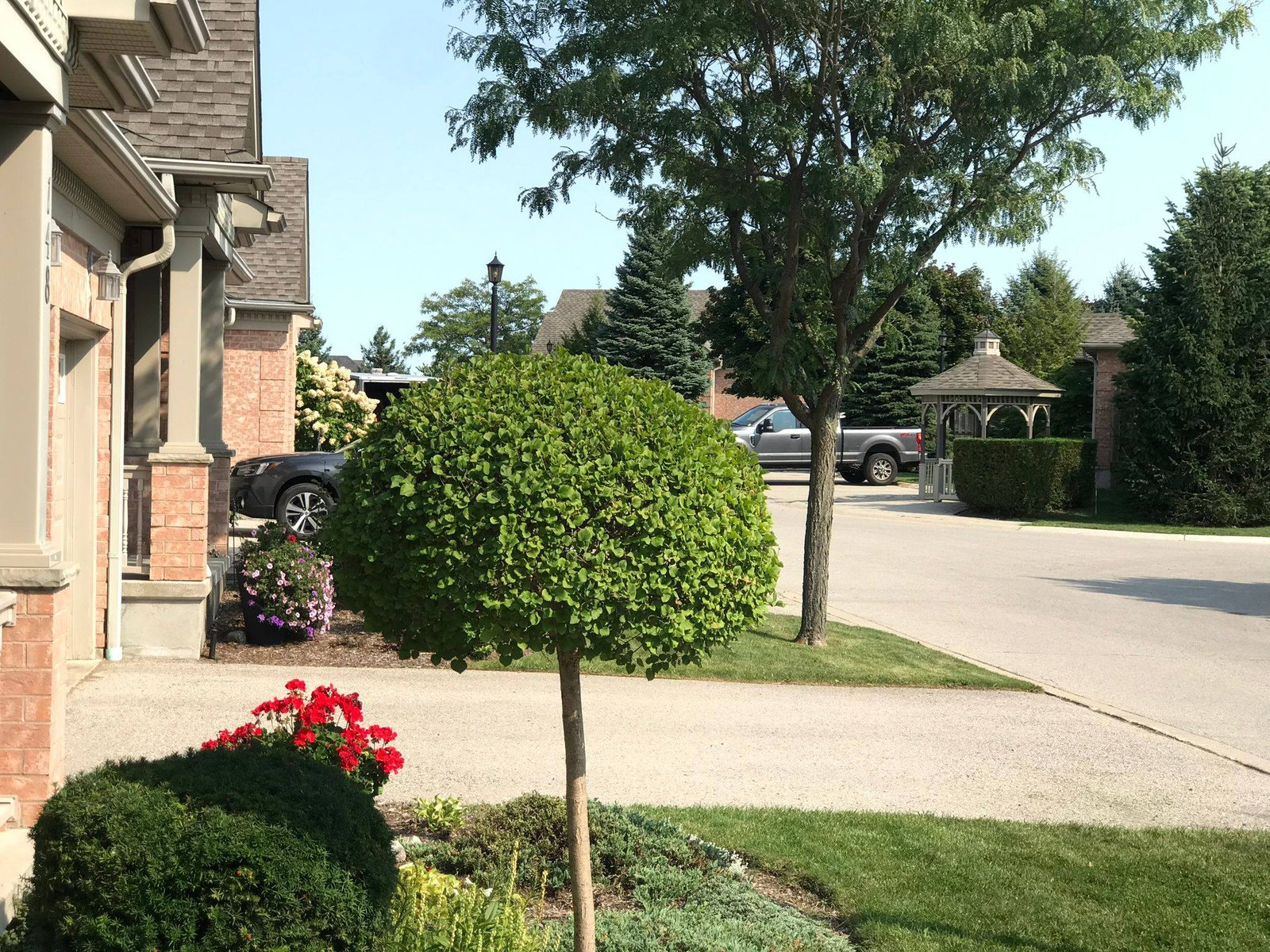 GHL Green Hands Yard Maintenance