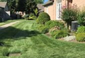 GHL Green Hands Yard Maintenance