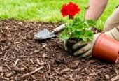 London Lawn: Year-Round Yard Care
