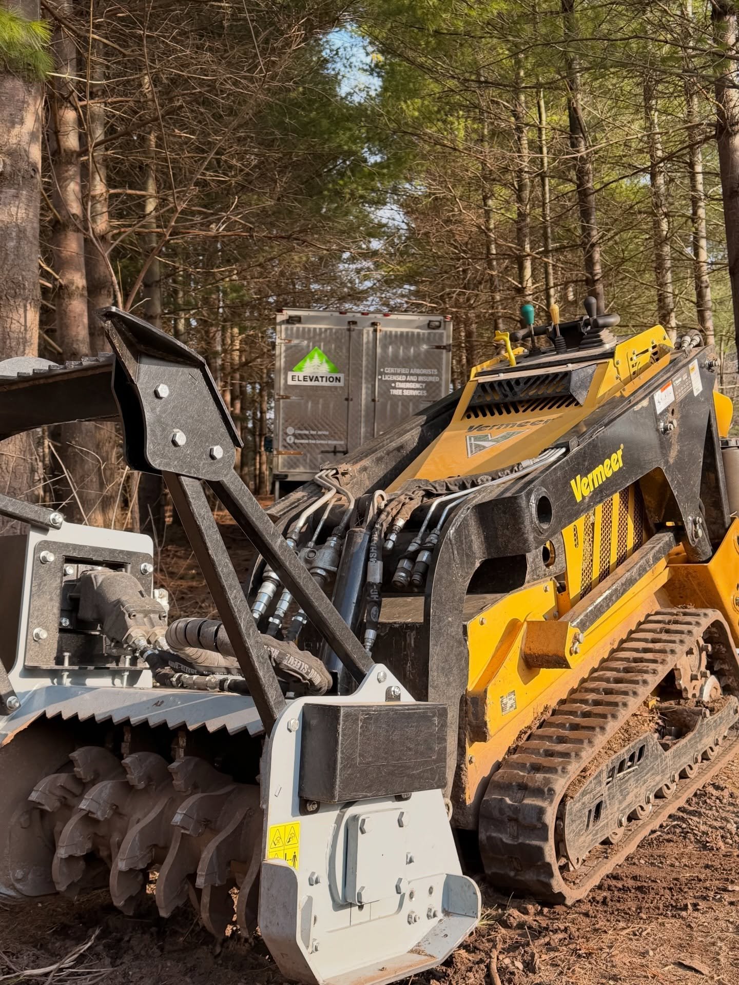 Your go-to expert for tree care needs