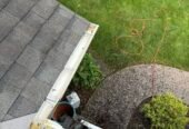 MK Driveway & Siding Wash Pros