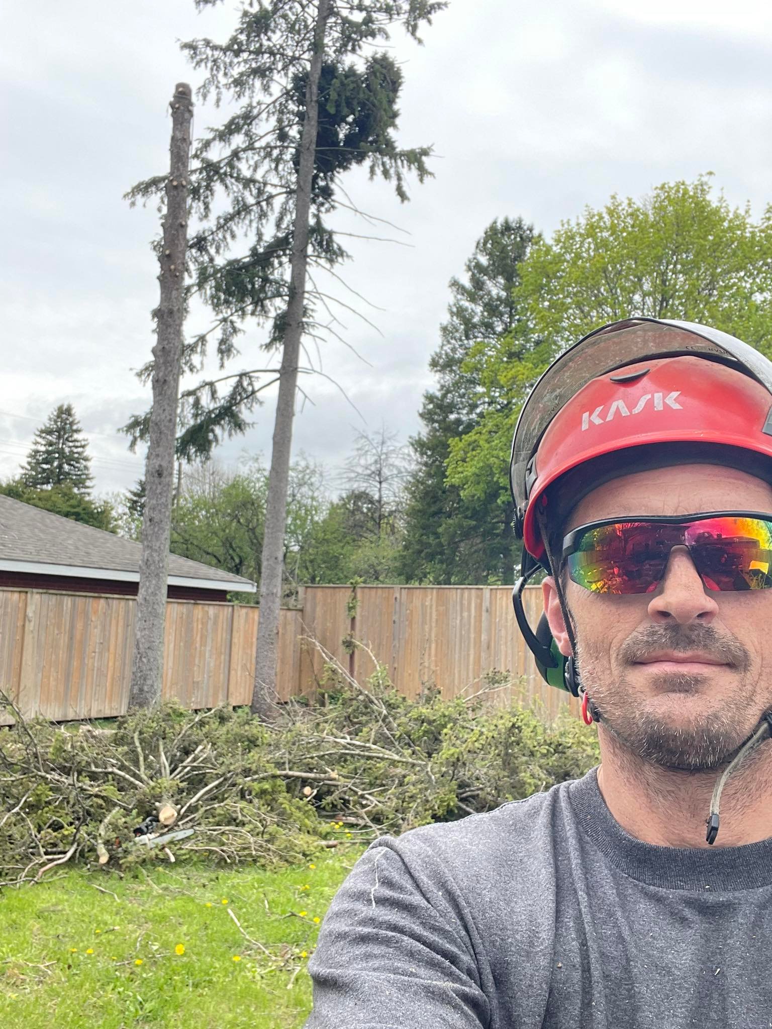 Cunningham Tree Service