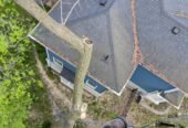 Sabertooth Tree Arborists