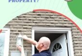The Inspectors Detailed Reports