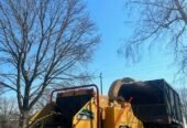Sabertooth Tree Arborists