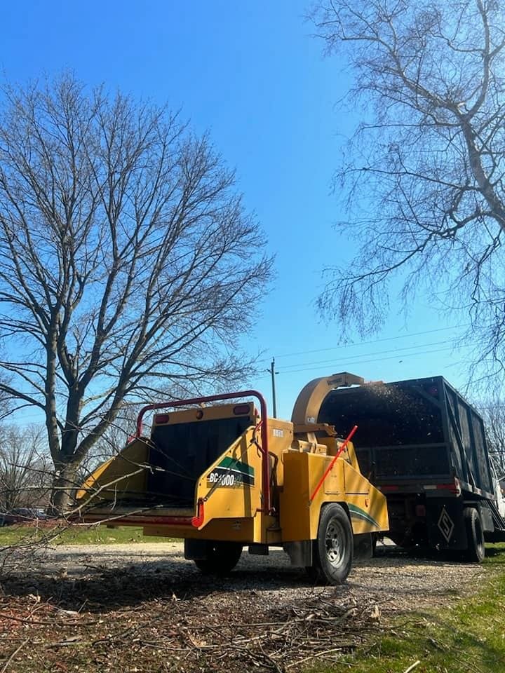 Sabertooth Tree Arborists