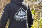 Your go-to expert for tree care needs