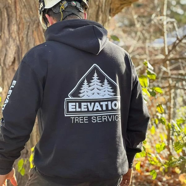 Your go-to expert for tree care needs