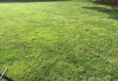 Lavish Landscape & Patio Builds