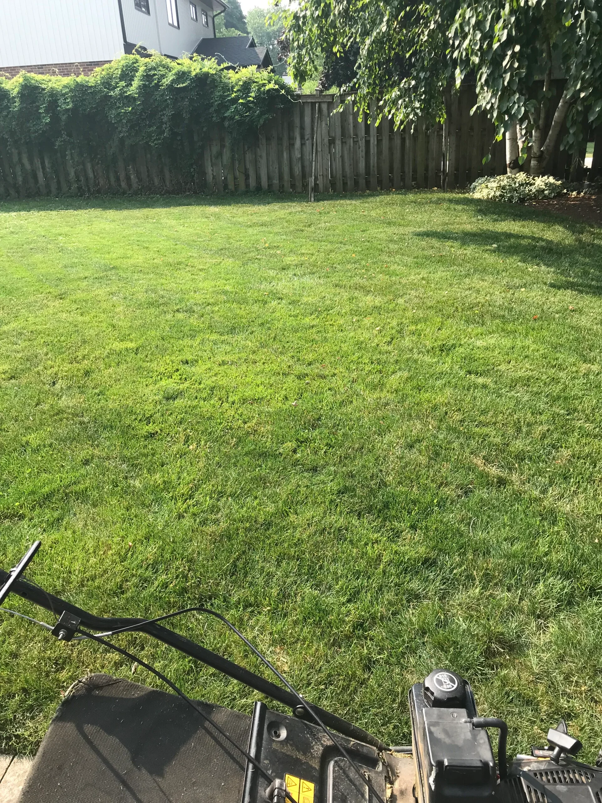 Lavish Landscape & Patio Builds