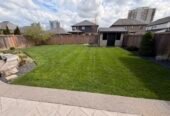 London Lawn: Year-Round Yard Care