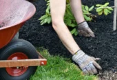 London Lawn: Year-Round Yard Care