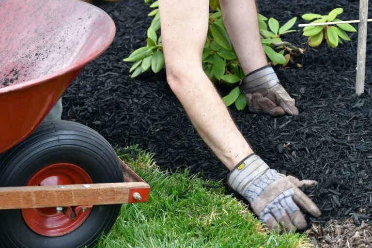 London Lawn: Year-Round Yard Care