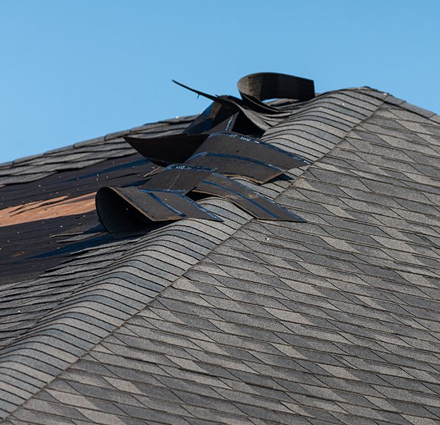 Himalaya Roof Repair & Replacement