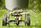 The Green Dept Lawn & Yard Care