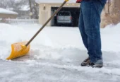 London Lawn: Year-Round Yard Care