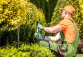 The Green Dept Lawn & Yard Care