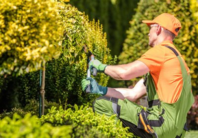 what-does-landscape-maintenance-for-a-property-include-f