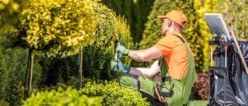 The Green Dept Lawn & Yard Care