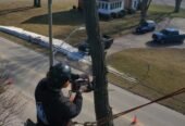 Your go-to expert for tree care needs