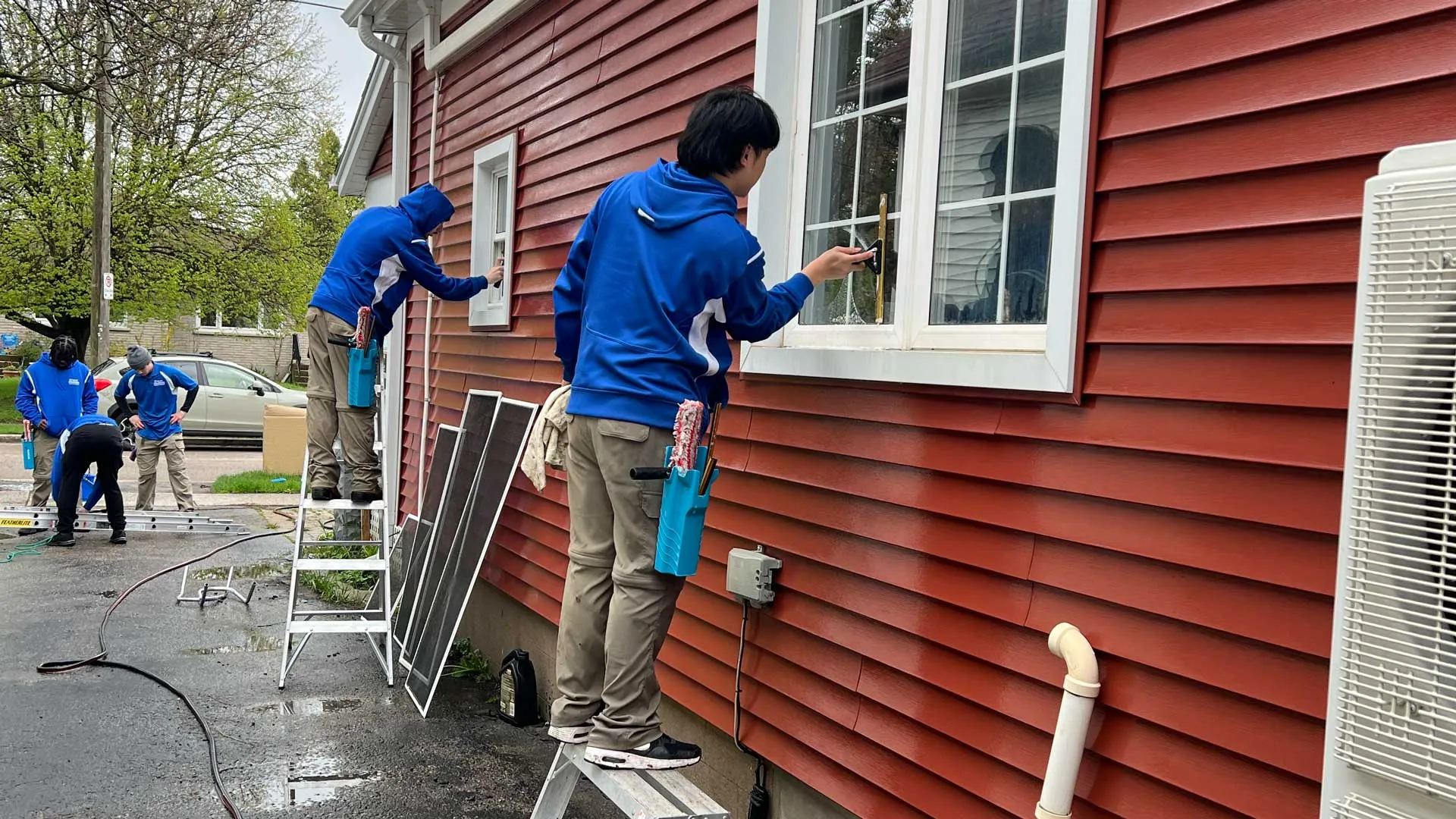 Blue Diamond Window Cleaning