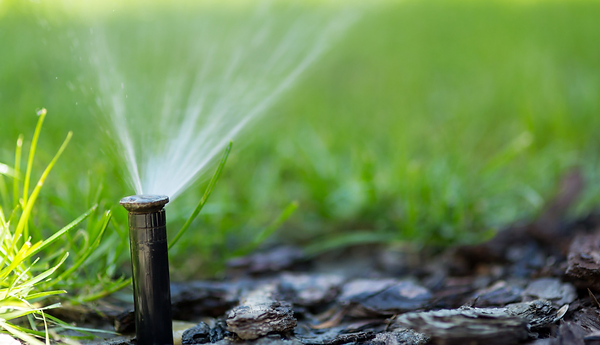 Sprinklers + Lighting in Sarnia